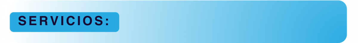servicios-incom-66ec6da7d06a6.png
